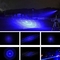 La noche caza el indicador azul del laser de 450 nanómetro con las luces brillantes de la búsqueda de diversas extremidades